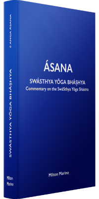 mockup-4-asana